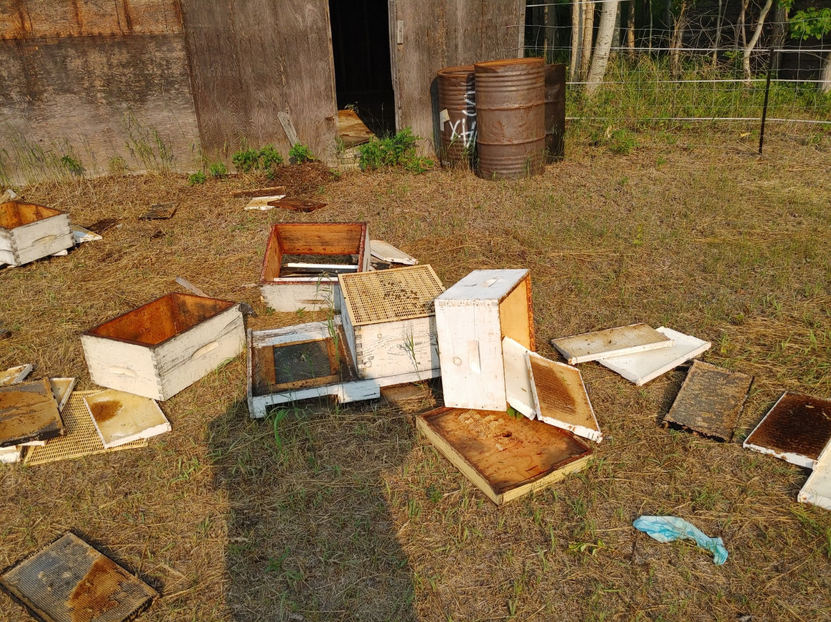 2021 Season photo 54